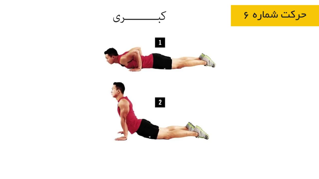 آب کردن چربی های پشت و کمر با ۶ ورزش ساده در خانه